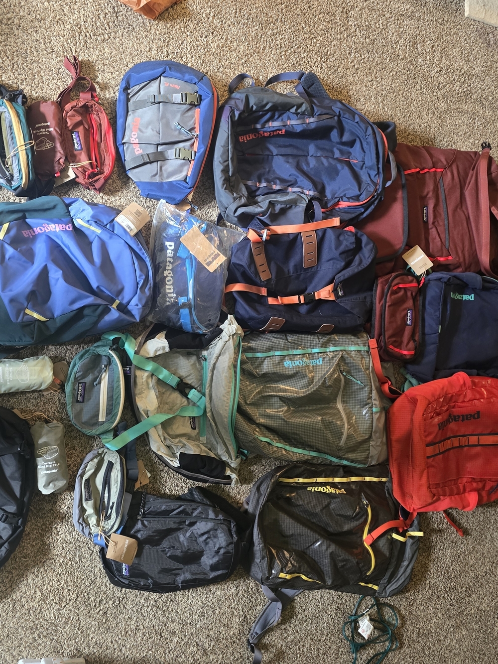 Patagonia Catalog  Assorted Backpacks Glossy Black Hole, Fieldsmith, Packs